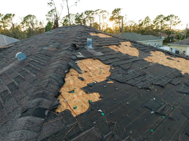 Asphalt Shingles Roofing in Deer Lodge, MT